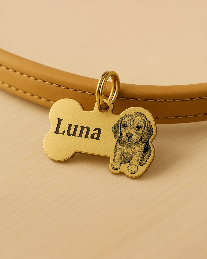 Collar ID Tags