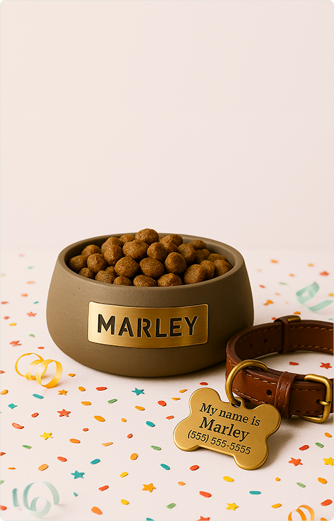 Welcome 
Puppy
