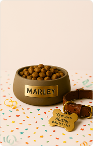 Welcome 
Puppy
